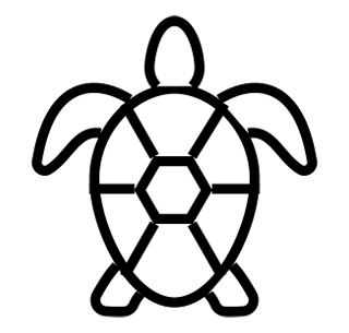 turtle-friendly-lighting